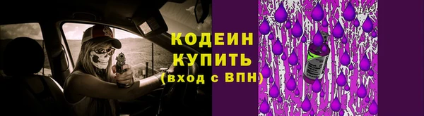 шишки Армянск