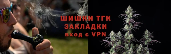 шишки Армянск