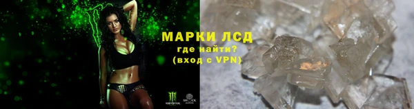 шишки Армянск