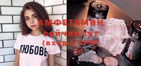 шишки Армянск