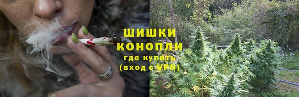 шишки Армянск